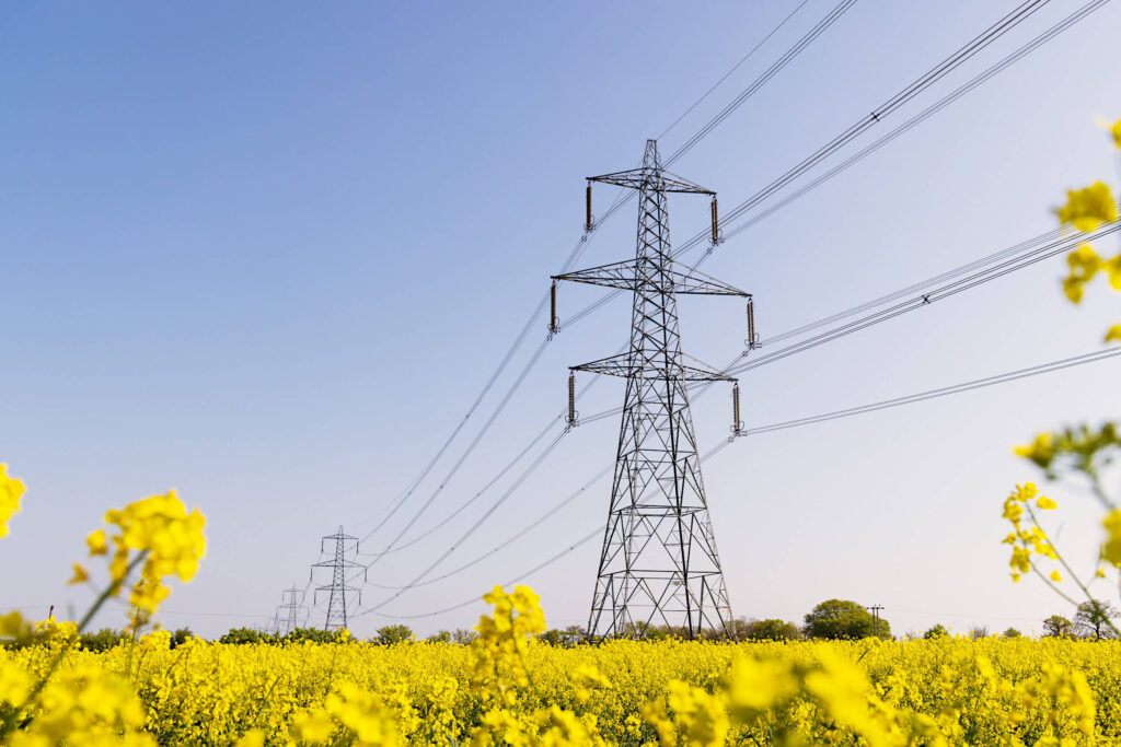 Pylons in field AdobeStock 501592843 tiny